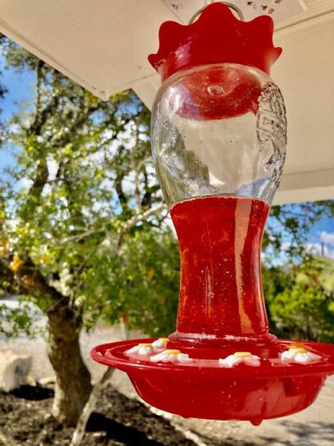 Villa Hummingbird Haus - Hill Country Views On 20 Acres With Firepit Spring Branch Esterno foto
